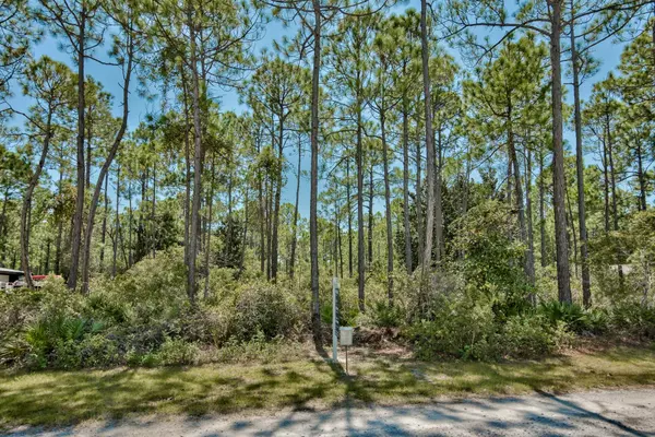 Santa Rosa Beach, FL 32459,Lot 14 Delbert Lane