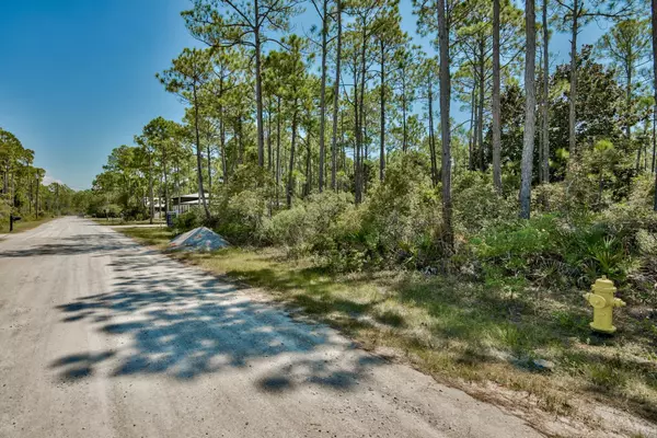 Santa Rosa Beach, FL 32459,Lot 14 Delbert Lane