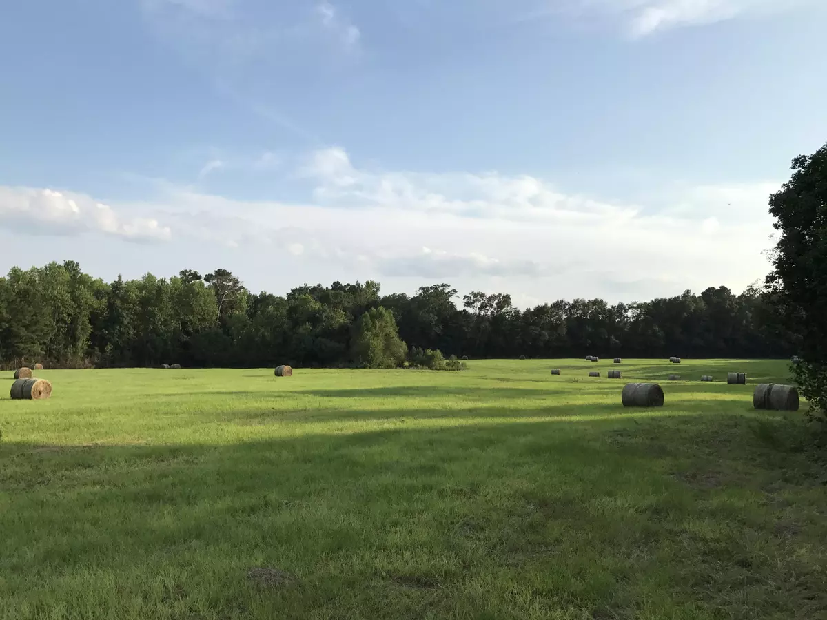 Laurel Hill, FL 32567,715 NW Double Bridge Road