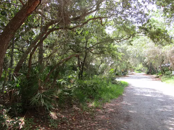 Santa Rosa Beach, FL 32459,Lot 13 B Grayton Trails Road