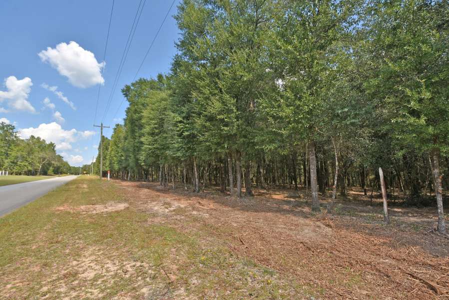 4 AC Wilkerson Bluff Road, Holt, FL 32564