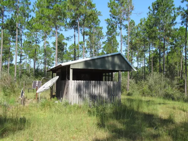 Laurel Hill, FL 32567,4.7AC Chapel Rd West Road