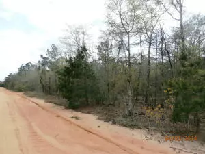 Defuniak Springs, FL 32433,Lot 11 Picasso Lane