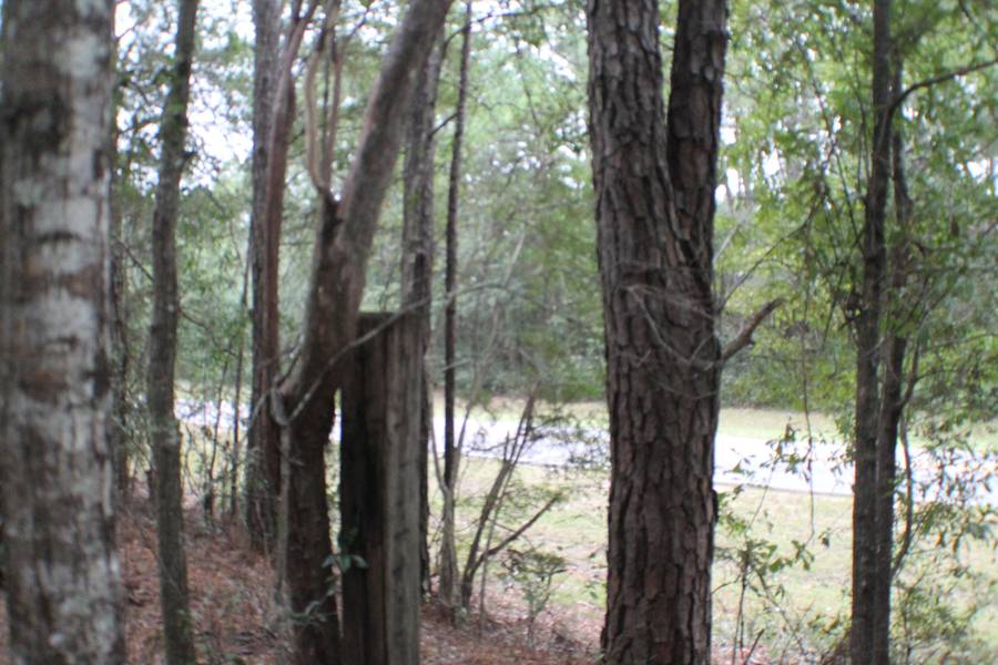 2.61 AC Old River Road, Baker, FL 32531