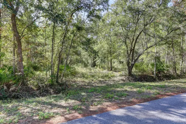 Freeport, FL 32439,LOT 1 Bay Grove