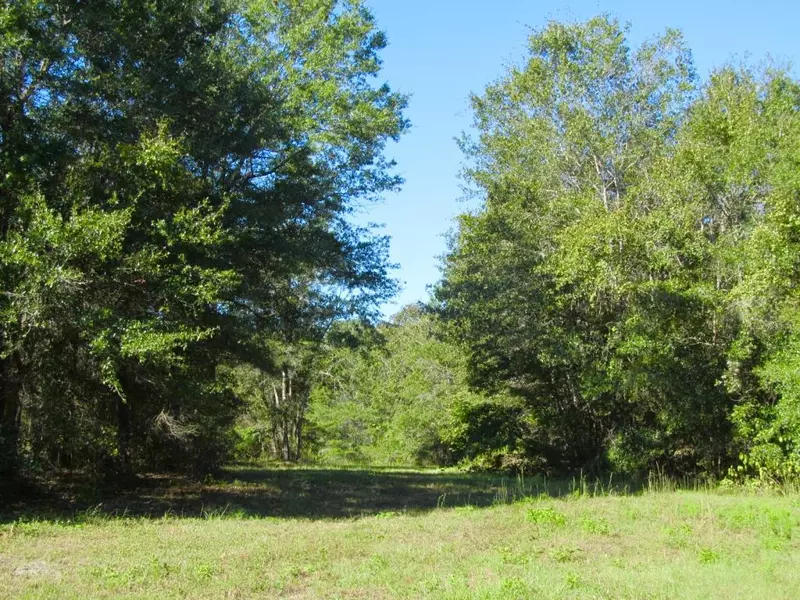 76AC Cosson Road, Defuniak Springs, FL 32435