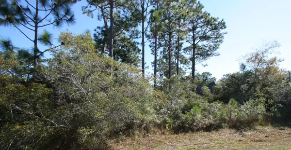 Santa Rosa Beach, FL 32459,LOT 75 Pelican Bay Dr Drive