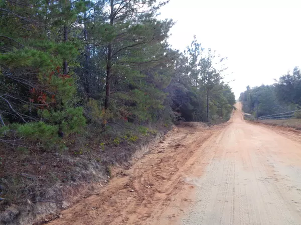 Defuniak Springs, FL 32433,13&15 Rio Ranchero Road