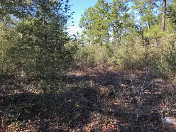 Defuniak Springs, FL 32433,Lot 42 IMPERIAL