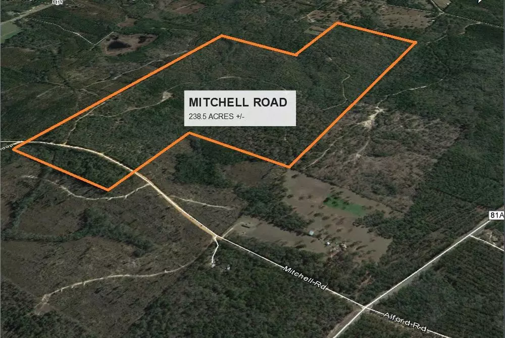 Ponce De Leon, FL 32455,238 +/- AC Mitchell Road