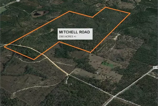 238 +/- AC Mitchell Road, Ponce De Leon, FL 32455