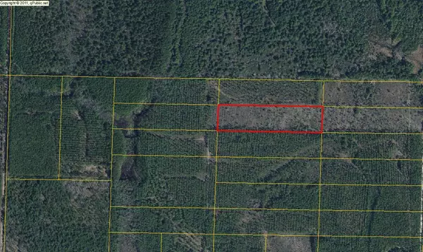 Freeport, FL 32439,10 ACRES Joe Dugger Road