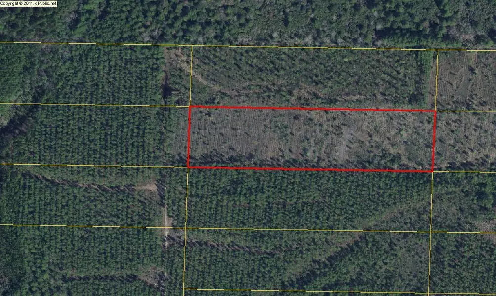 10 ACRES Joe Dugger Road, Freeport, FL 32439