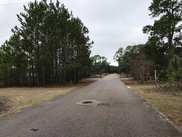 Santa Rosa Beach, FL 32459,Lot 12 Spotted Dolphin Road