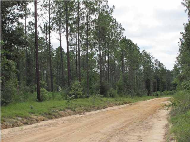 12.5 Acres Chapel Road East, Paxton, FL 32538