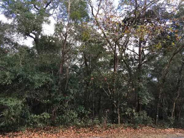 Freeport, FL 32439,LOT 17 HICKORY ST