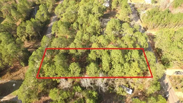 Santa Rosa Beach, FL 32459,Lot 21 Eddy Lane