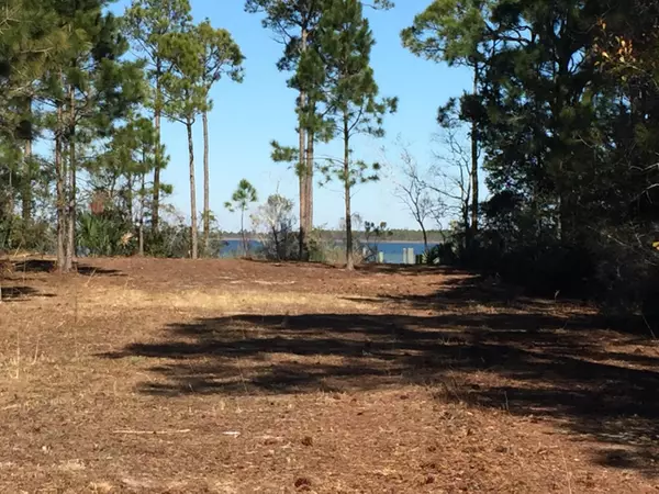 Santa Rosa Beach, FL 32459,Lot 31B Woodland Bayou Drive