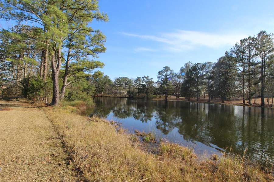 15.75 Acre N Highway 85, Laurel Hill, FL 32567