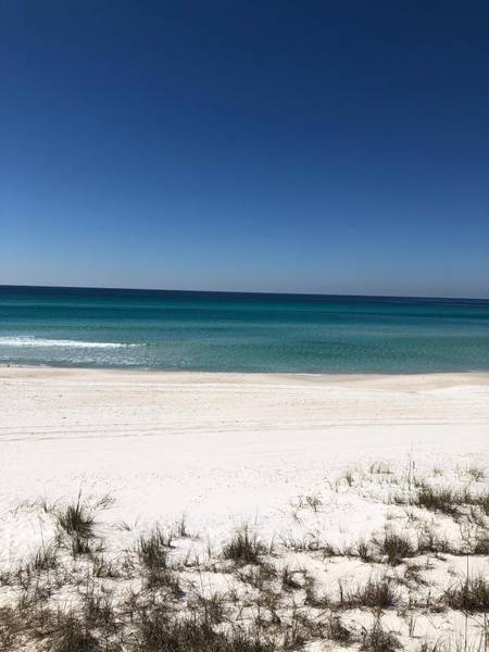 LOT 1 Blue Coast Court  #Lot 1, Inlet Beach, FL 32461