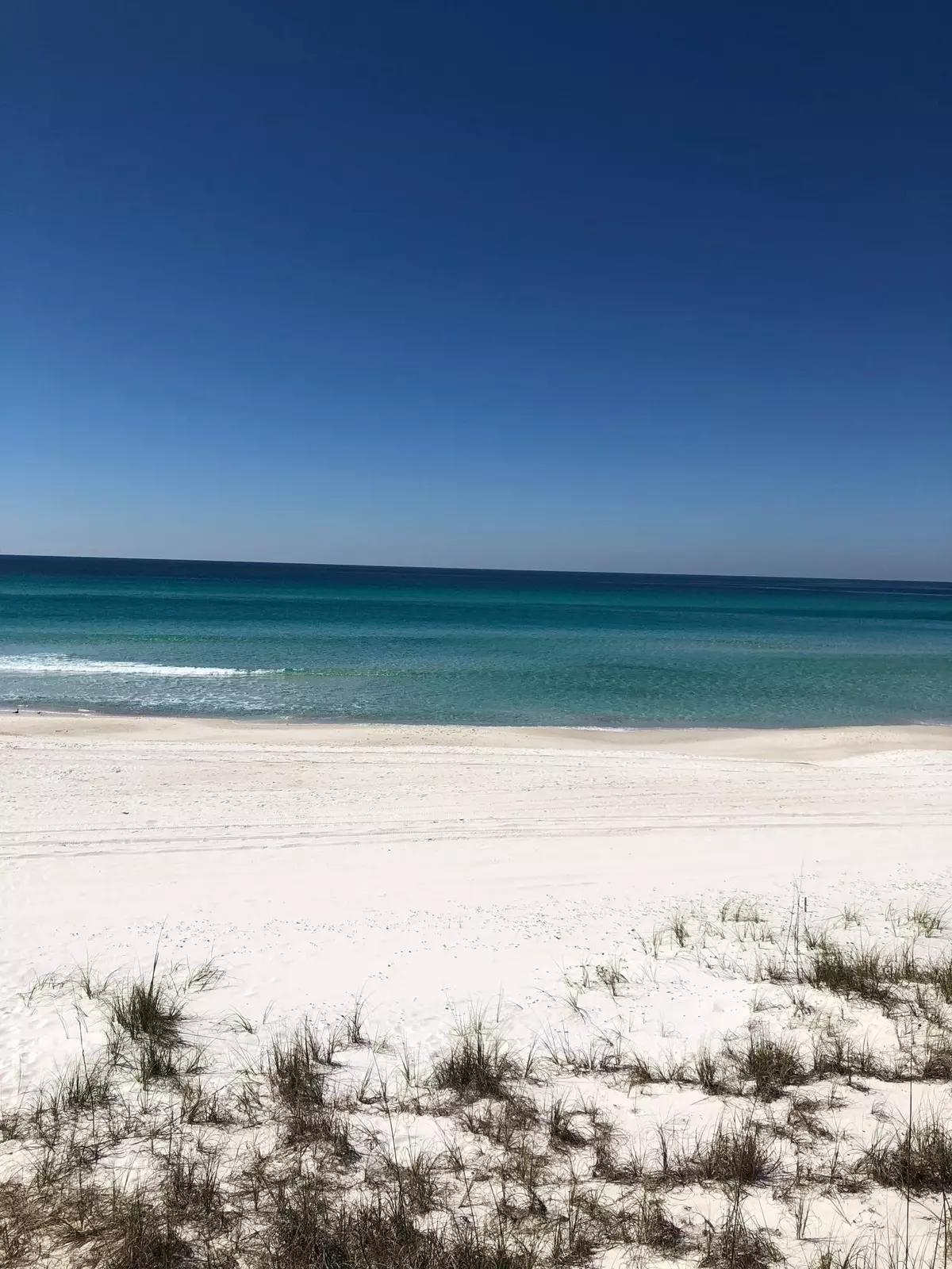 Inlet Beach, FL 32461,LOT 1 Blue Coast Court  #Lot 1