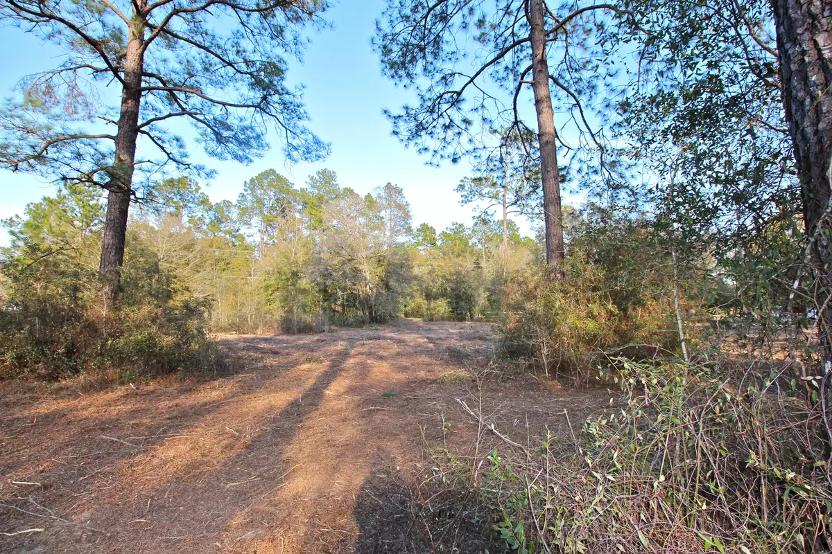 Defuniak Springs, FL 32433,7 Acres JUNIPER LAKE