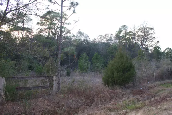 Defuniak Springs, FL 32433,7 Acres JUNIPER LAKE