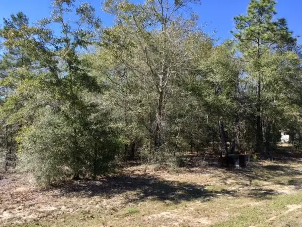 Defuniak Springs, FL 32433,.23ac Blue Ridge Boulevard