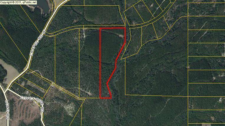 20 Acres Walton Plantation Road, Laurel Hill, FL 32567