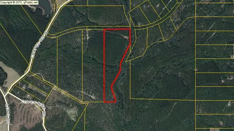 Laurel Hill, FL 32567,20 Acres Walton Plantation Road