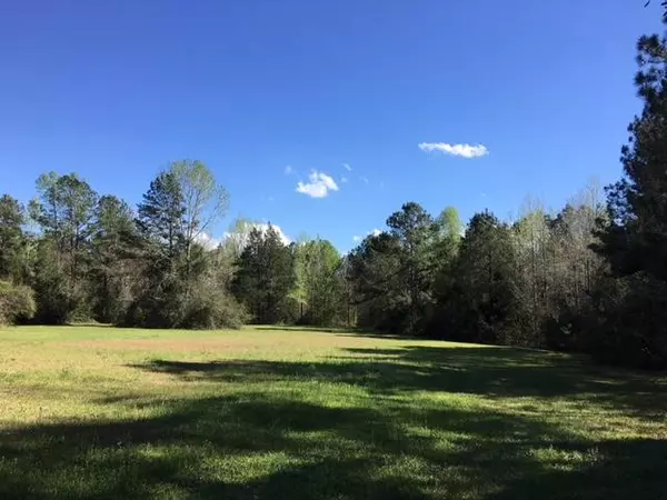 Ponce De Leon, FL 32455,48 Acres Charles Rushing Road