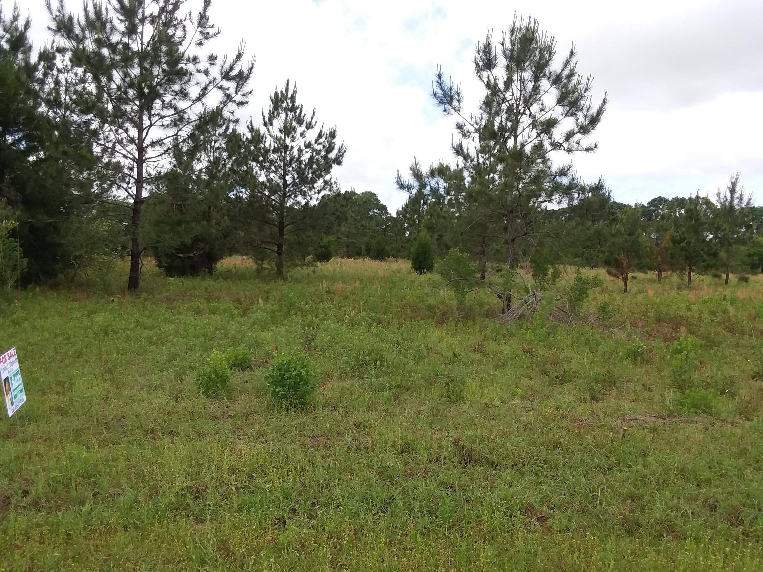 TBD Lakepoint Dr, Chipley, FL 32428