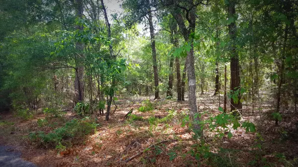 Mossy Head, FL 32434,00 Holly Tree Lane