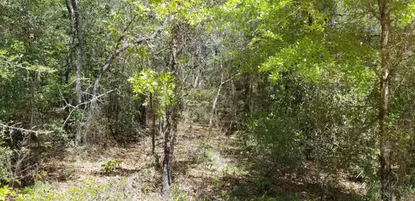 Holt, FL 32564,xxx Lot C Tisa Lane