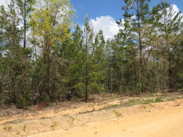 Defuniak Springs, FL 32434,Lots 3 &4 Woodlands Boulevard