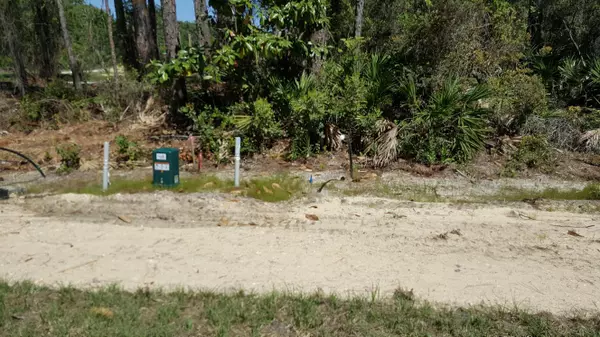 Santa Rosa Beach, FL 32459,Lot 4 Mack Bayou Circle