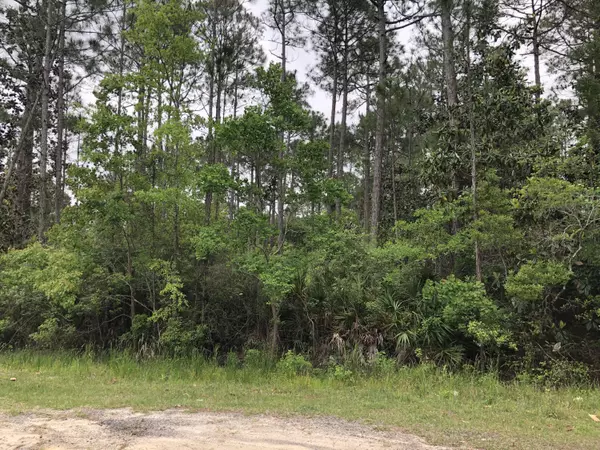 Santa Rosa Beach, FL 32459,Lot 26 Mandy Circle