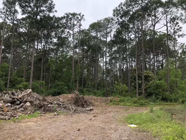 Santa Rosa Beach, FL 32459,Lot 26 Mandy Circle