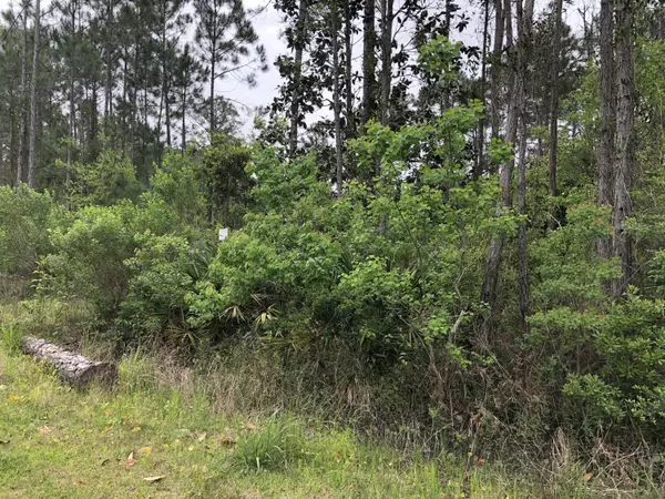 Santa Rosa Beach, FL 32459,Lot 26 Mandy Circle