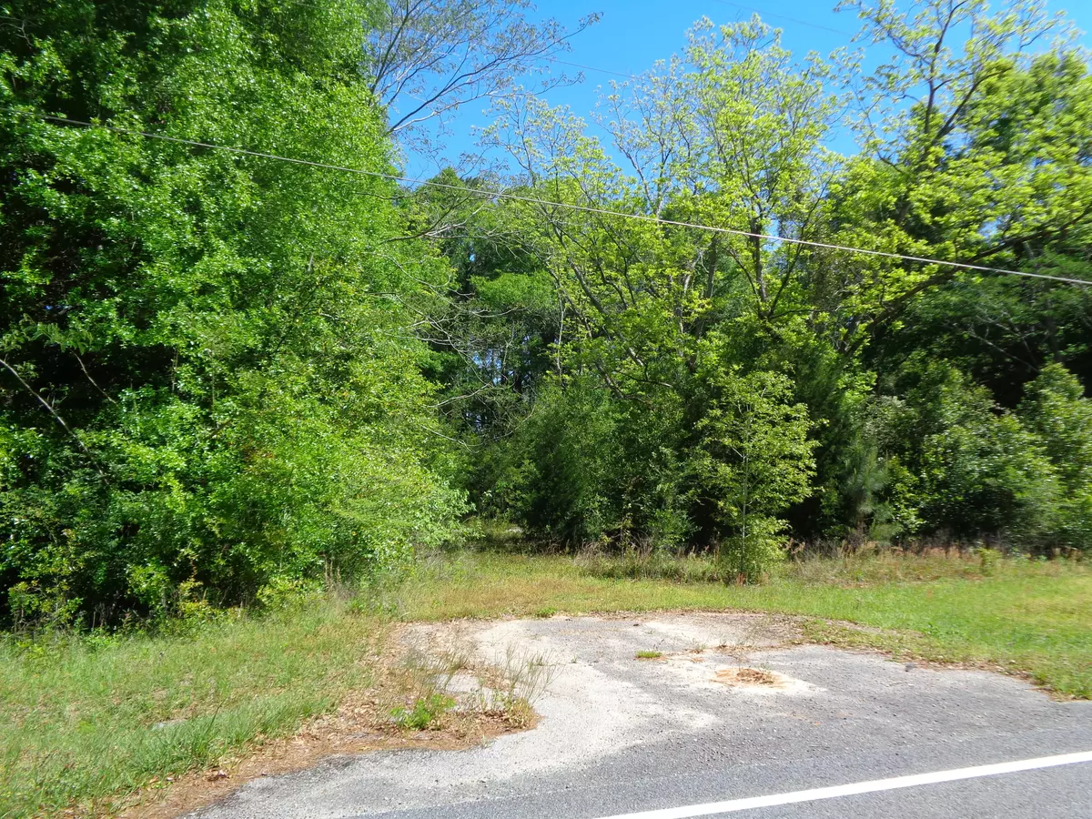 Laurel Hill, FL 32567,40.9 ACRES CLEAR SPRINGS ROAD