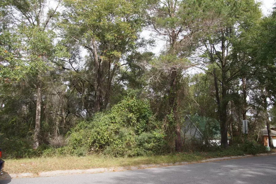 Lot 6 Duncan Drive, Niceville, FL 32578