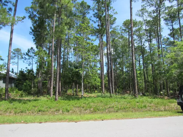 Freeport, FL 32439,Lot C-38 Dover Lane