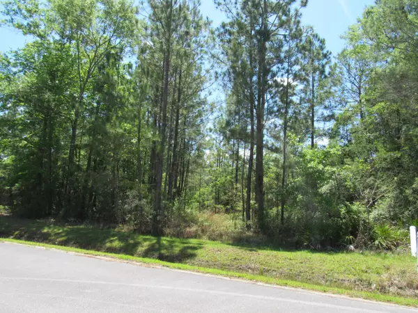 Lot 61 J. Hunter's Way S, Freeport, FL 32439