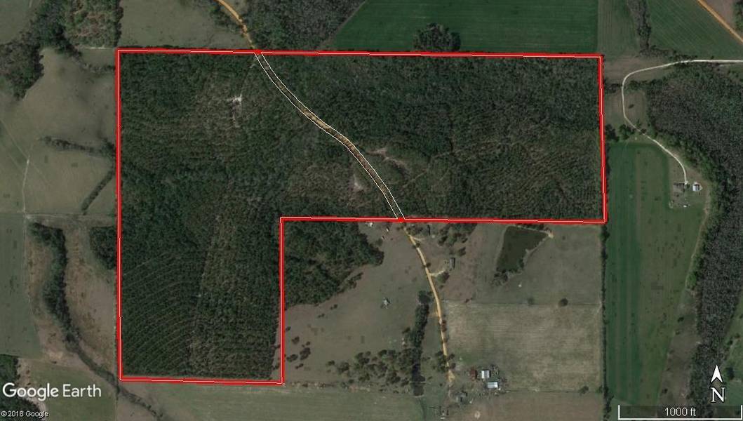 65 ac. Stewart Rd., Paxton, FL 32538