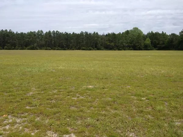 Freeport, FL 32439,92 Acres W State Highway 20