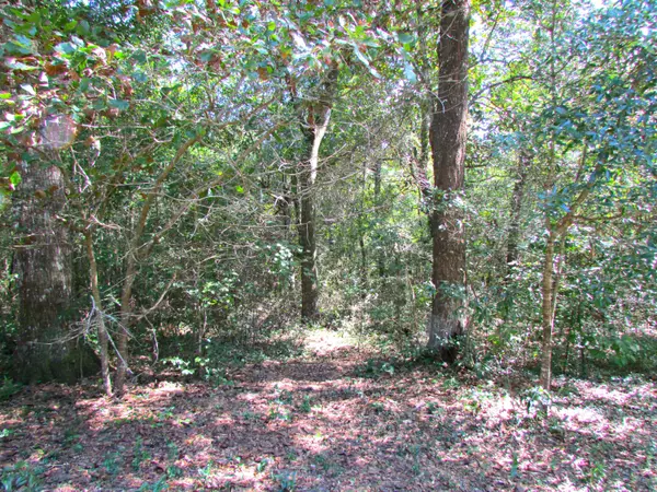 Defuniak Springs, FL 32433,0000 Lake Holley Circle  #Lot 10