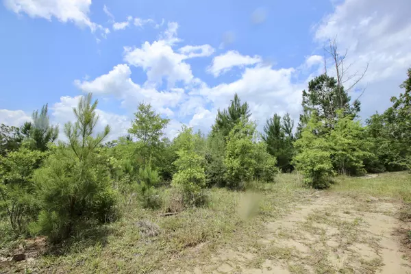 40 AC Hinote Road, Crestview, FL 32539