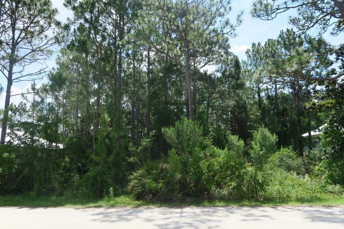 Santa Rosa Beach, FL 32459,Lot 22 San Juan Avenue  #Block 3