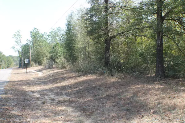 Crestview, FL 32539,3.11 AC Audrey Drive