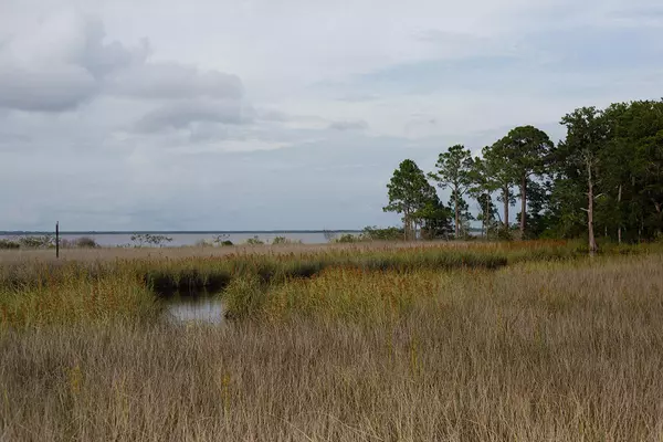 Santa Rosa Beach, FL 32459,95 Ansley Forest Drive